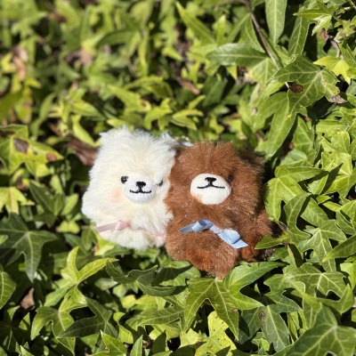 Bestfriend_Bear