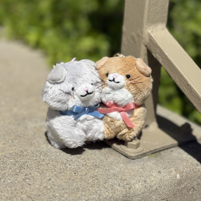 Bestfriend_Cat