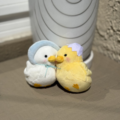 Bestfriend_Duck
