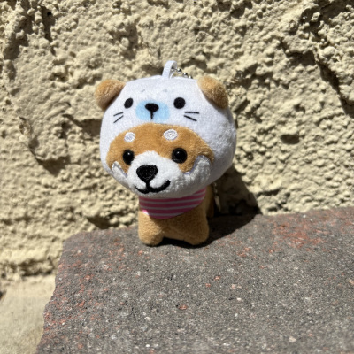 Mameshiba_Sealion