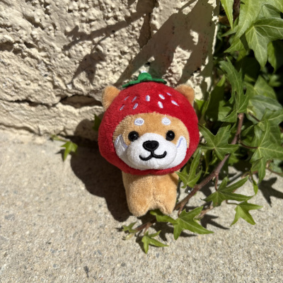 Mameshiba_Strawberry