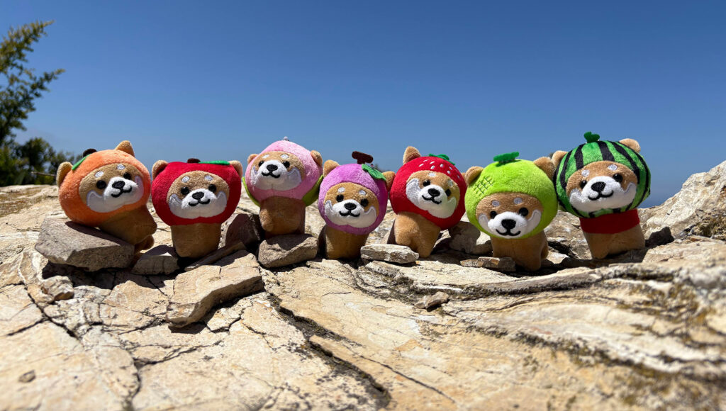 shibainu dolls sitting on rock